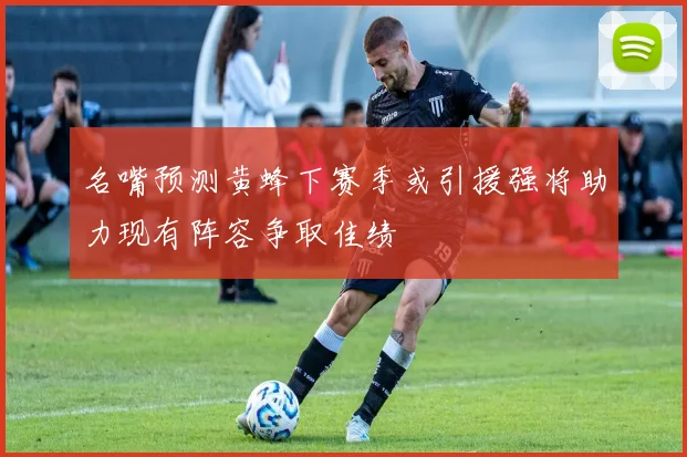 名嘴预测黄蜂下赛季或引援强将助力现有阵容争取佳绩